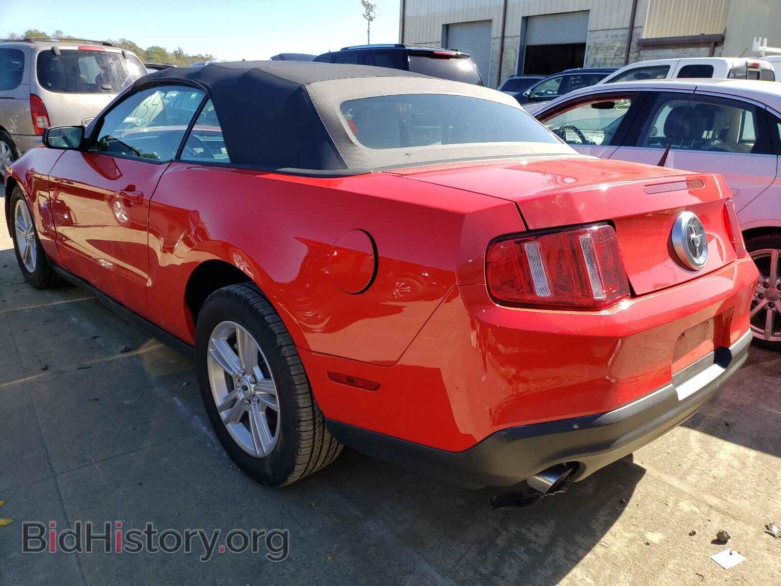 2011 FORD MUSTANG - VIN: 1ZVBP8EM0B5103257 - Фото 3