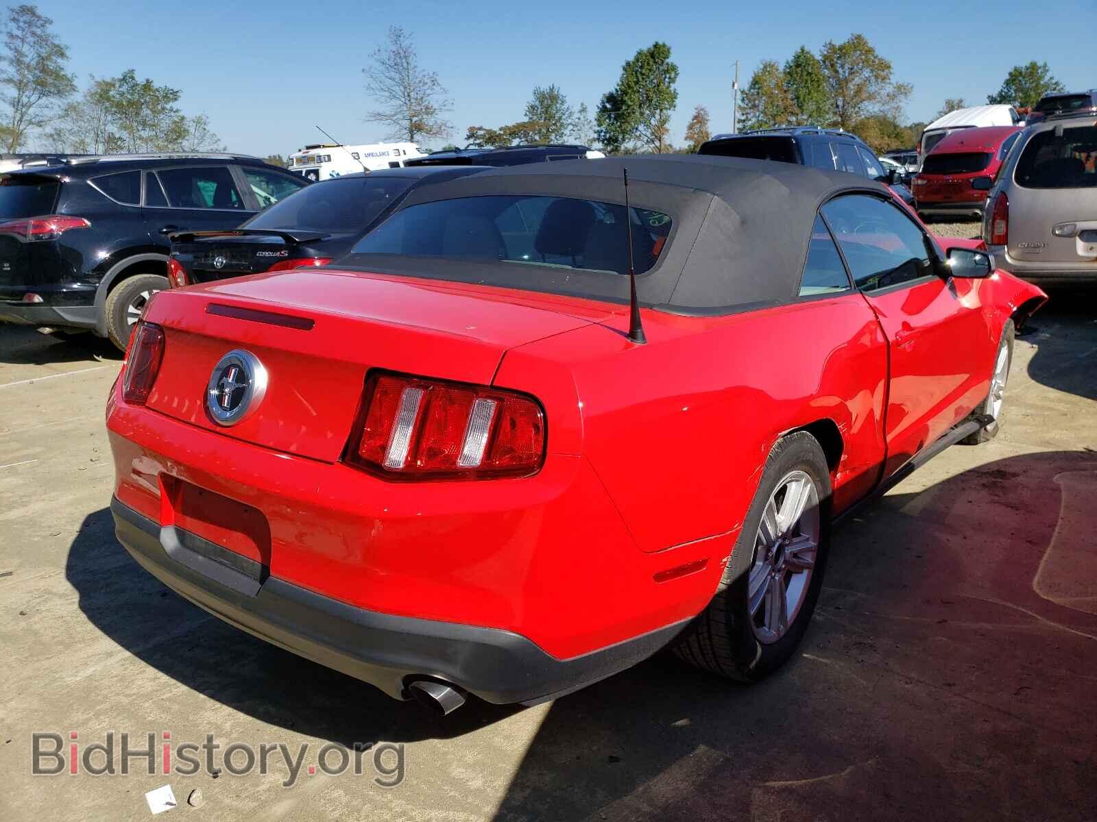 2011 FORD MUSTANG - VIN: 1ZVBP8EM0B5103257 - Фото 4