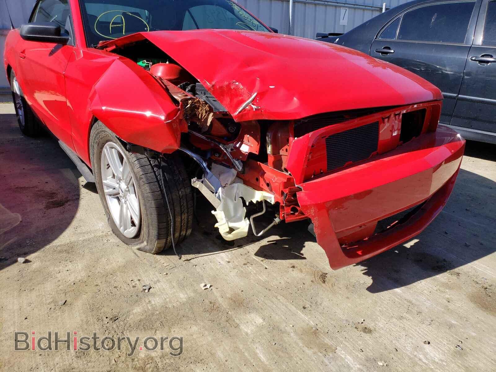 2011 FORD MUSTANG - VIN: 1ZVBP8EM0B5103257 - Фото 9