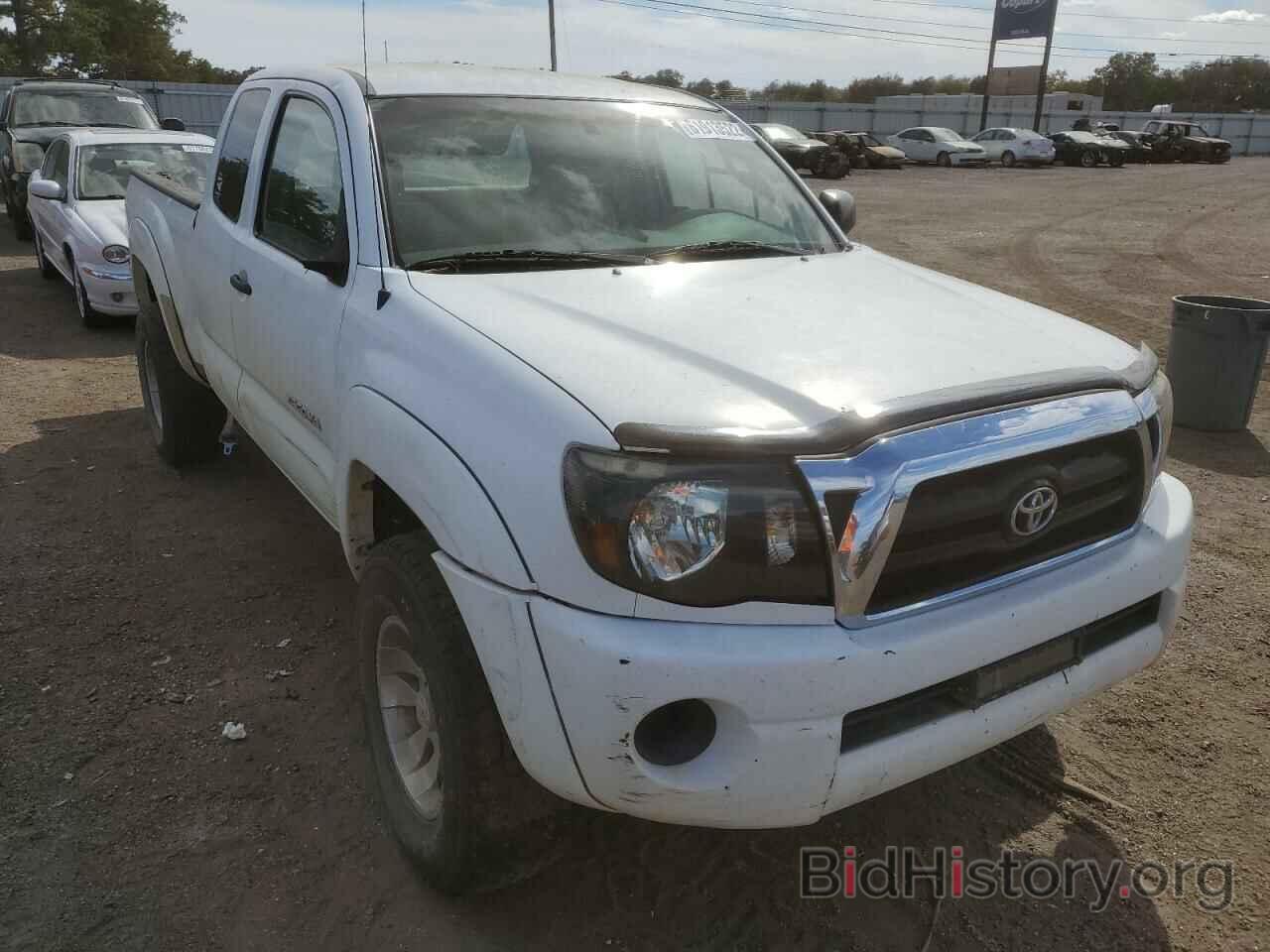 Photo 5TETX62N06Z231378 - TOYOTA TACOMA 2006