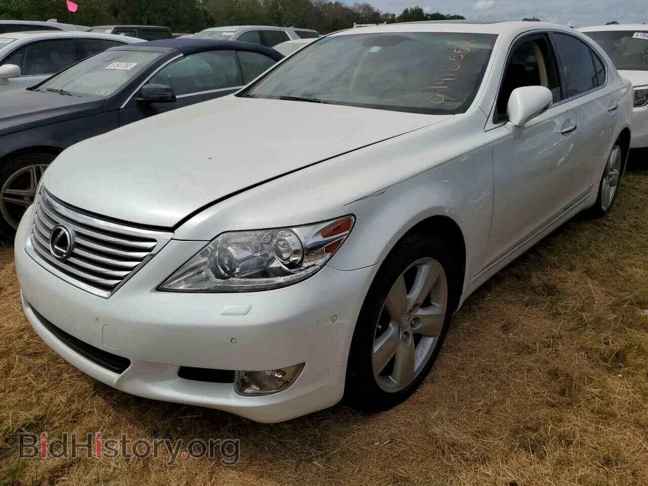 2012 LEXUS LS460 - VIN: JTHBL5EF4C5110842 - Фото 2