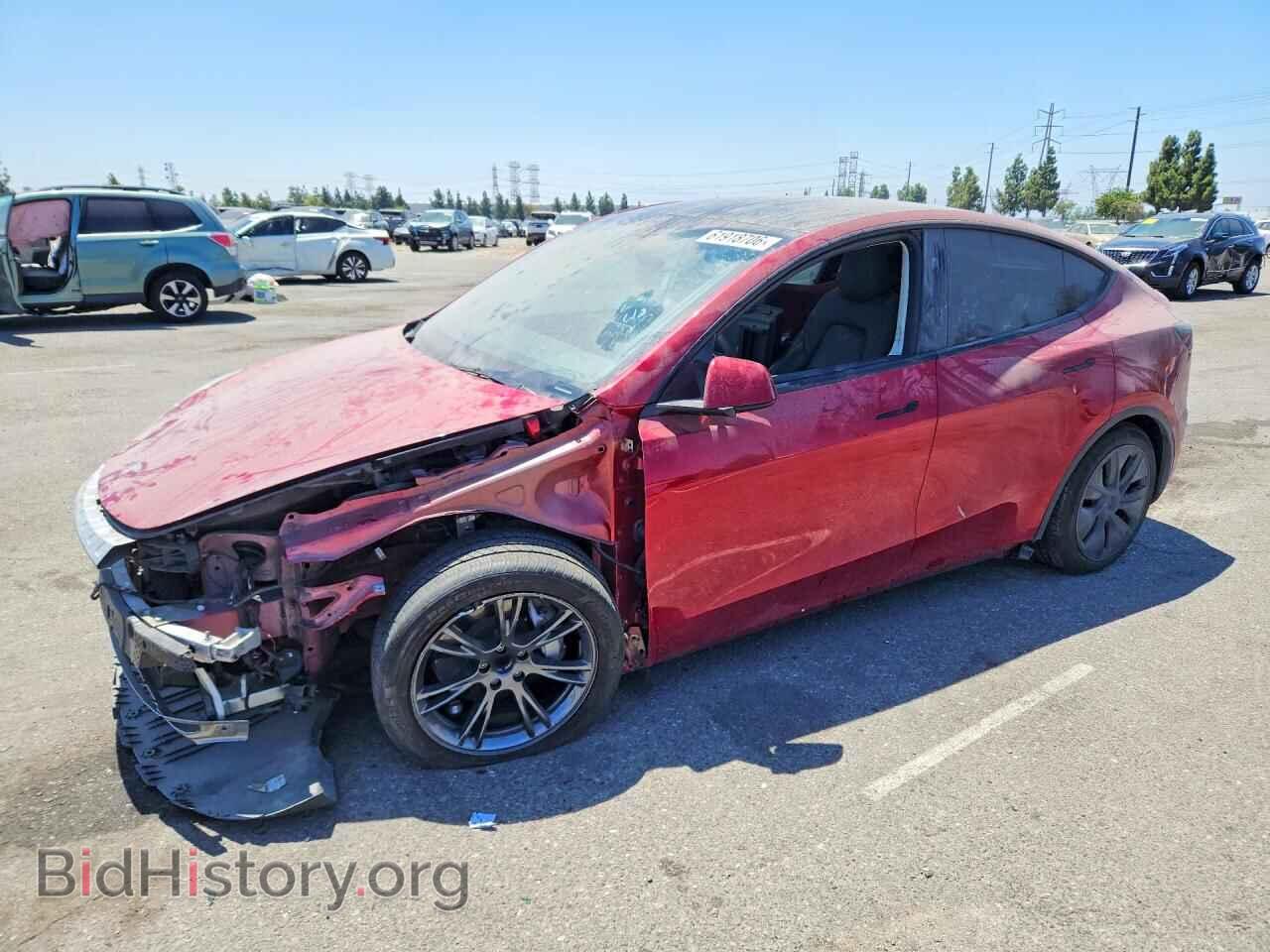 Фотография 7SAYGDEDXRF193356 - TESLA MODEL Y 2024