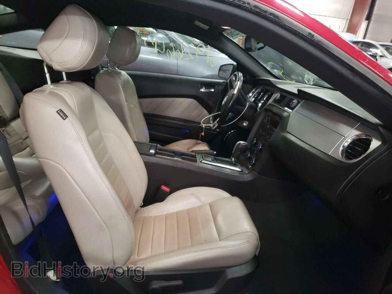 2013 FORD MUSTANG - VIN: 1ZVBP8AM3D5239696 - Фото 5