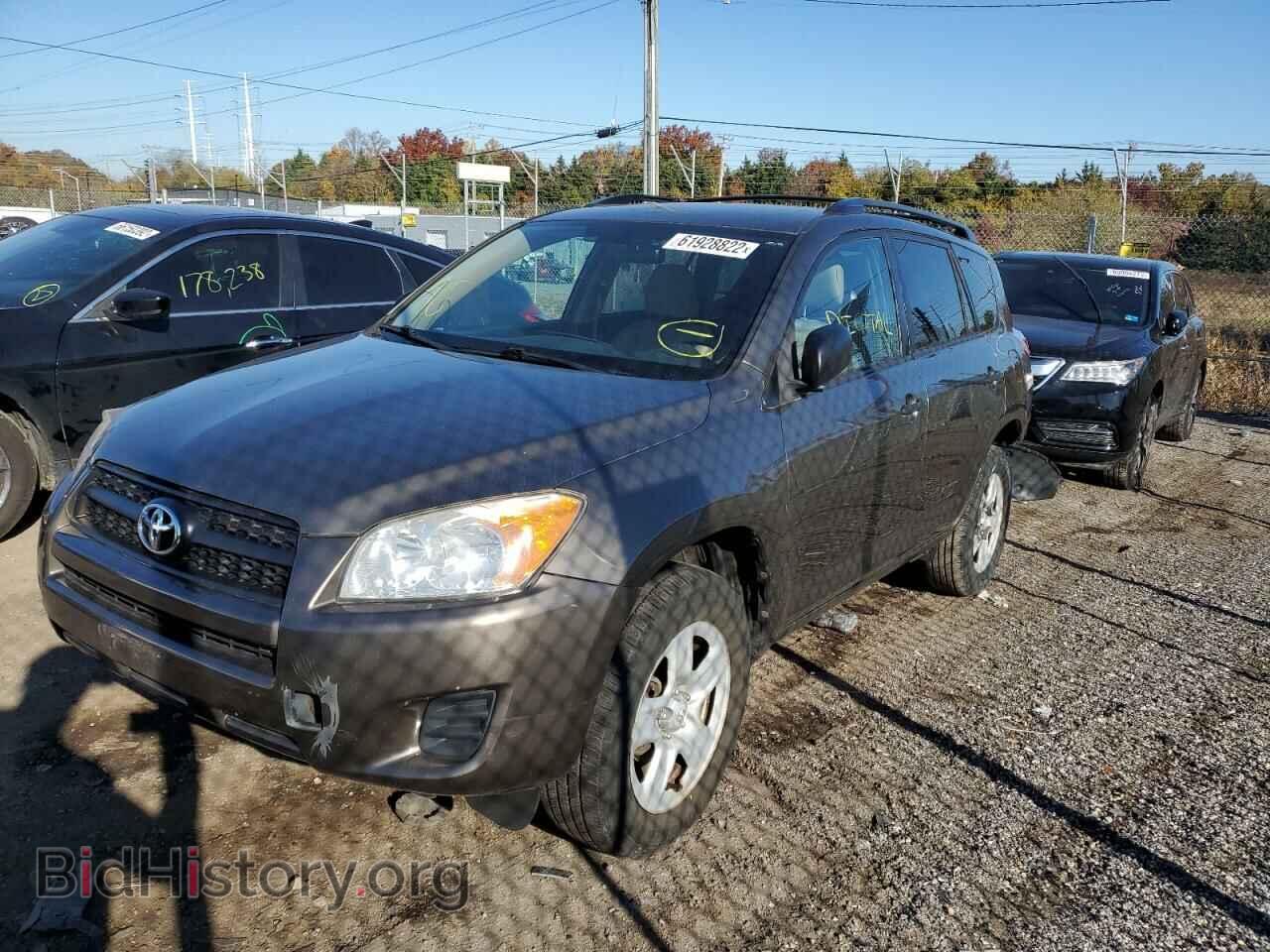 2011 TOYOTA RAV4 - VIN: 2T3BF4DV4BW169120 - Фото 2