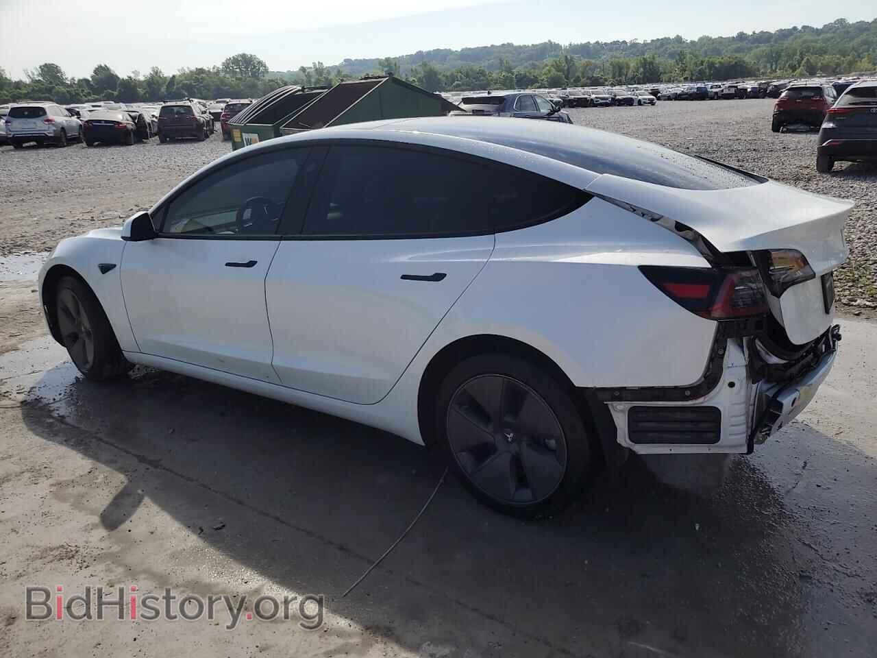 2023 TESLA MODEL 3 - VIN: 5YJ3E1EA9PF466141 - Photo 2