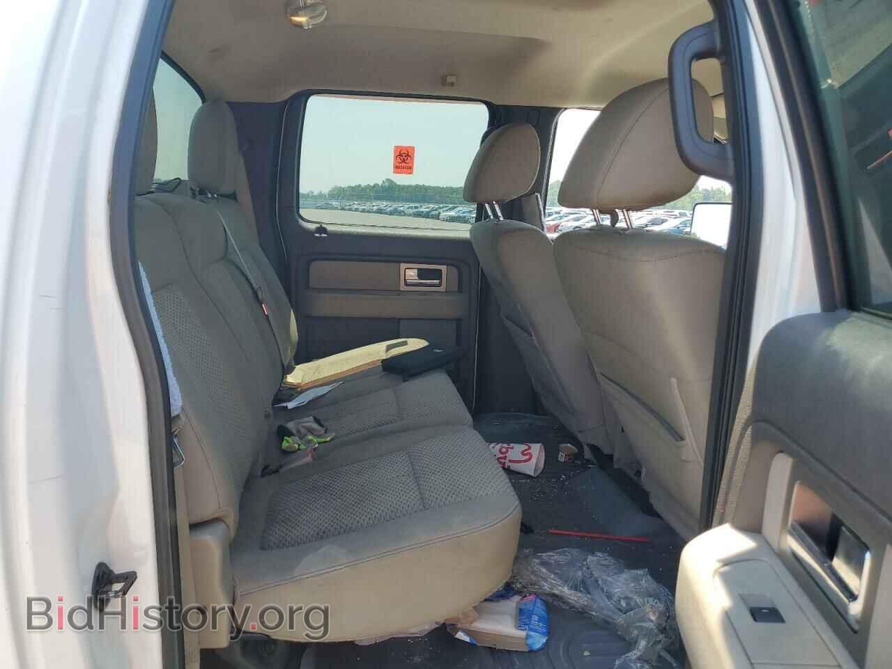 2010 FORD F-150 - VIN: 1FTEW1E82AFA45514 - Фото 10