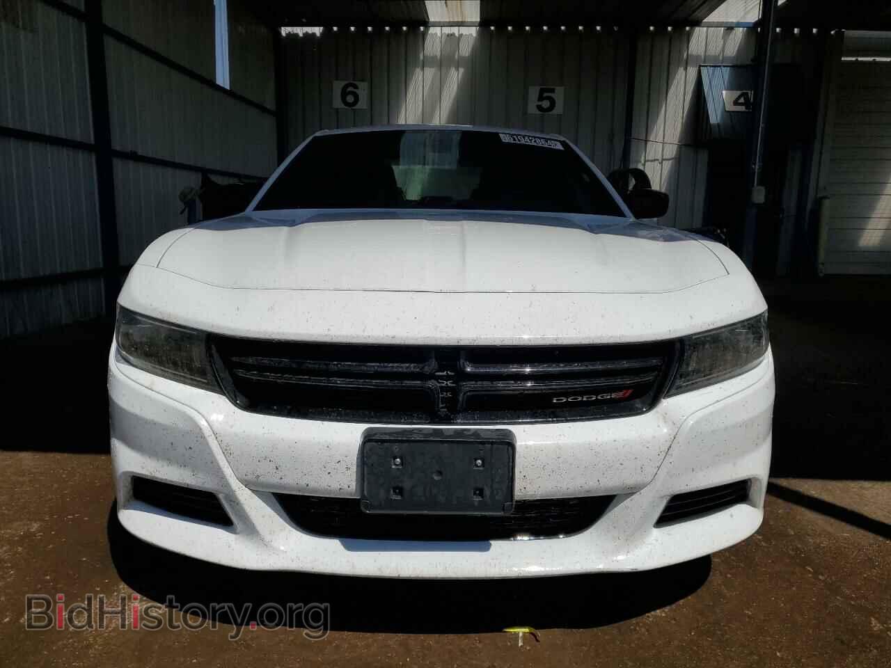 2023 DODGE CHARGER - VIN: 2C3CDXBG1PH559846 - Фото 5