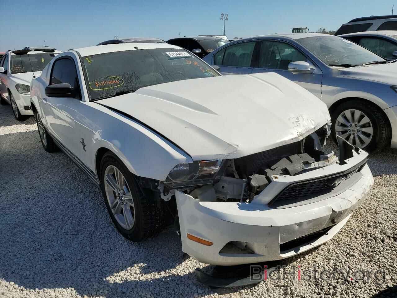 Photo 1ZVBP8AN1A5131078 - FORD MUSTANG 2010
