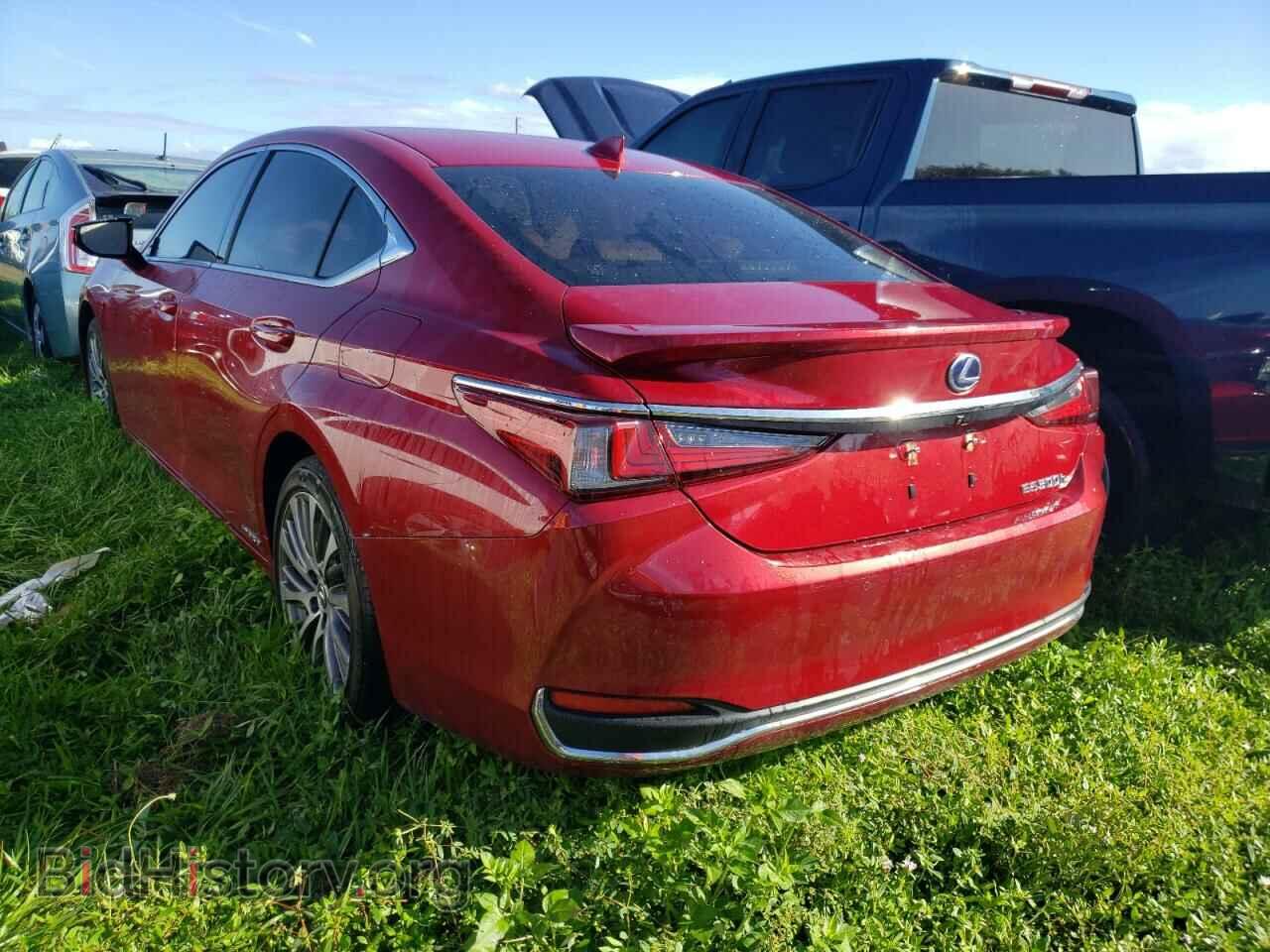 2019 LEXUS ES300 - VIN: JTHB21B19K2024687 - Фото 3