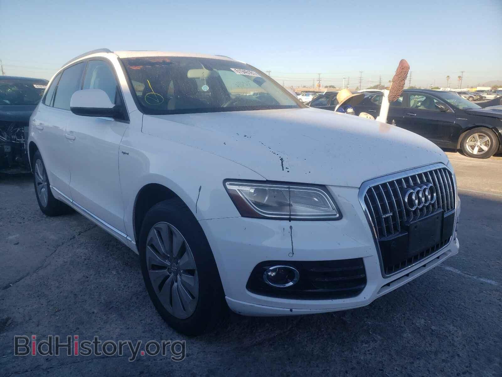 Photo WA1C8AFP2DA009521 - AUDI Q5 2013