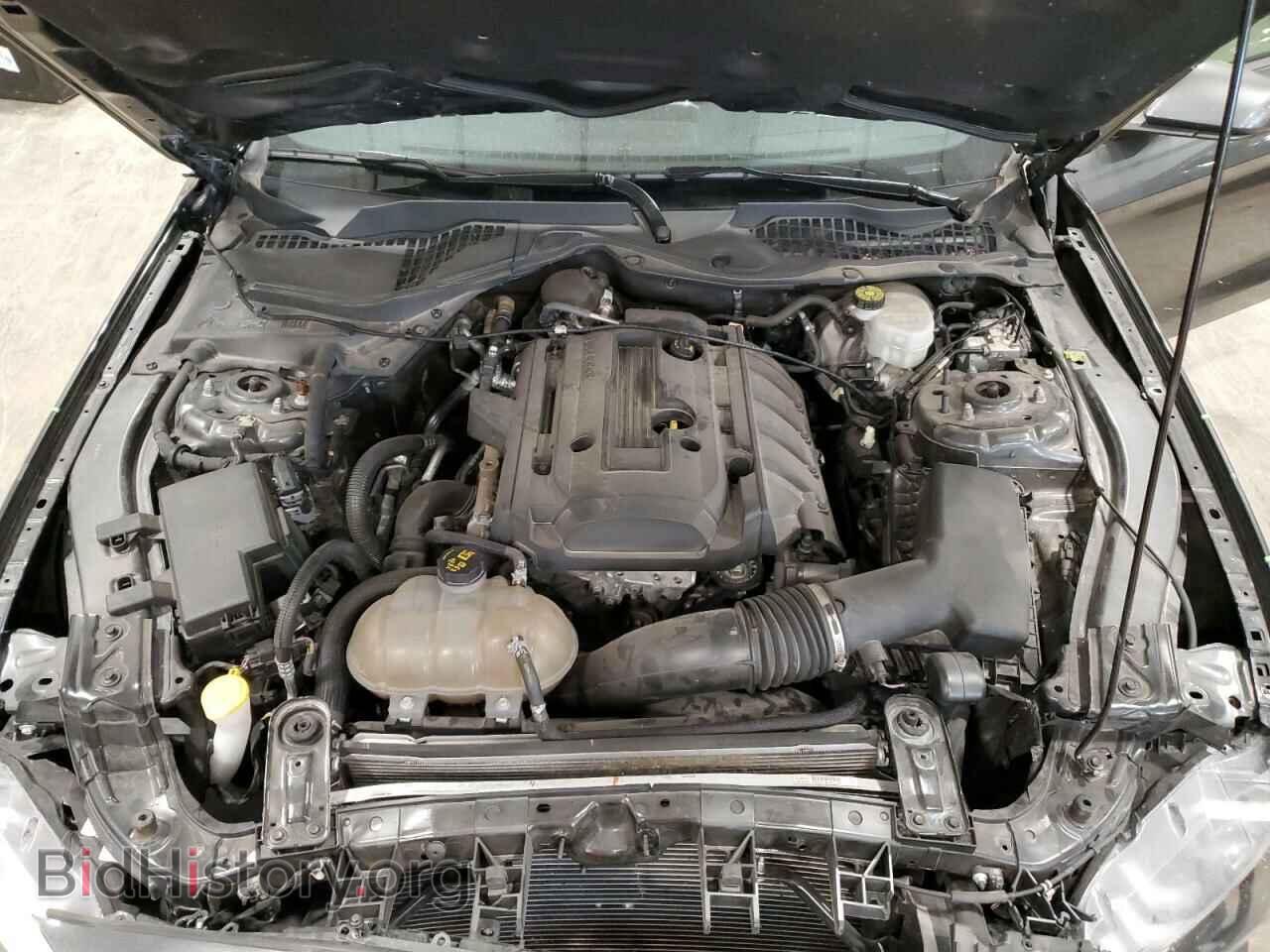 2019 FORD ALL Models - VIN: 1FA6P8TH3K5167664 - Фото 11