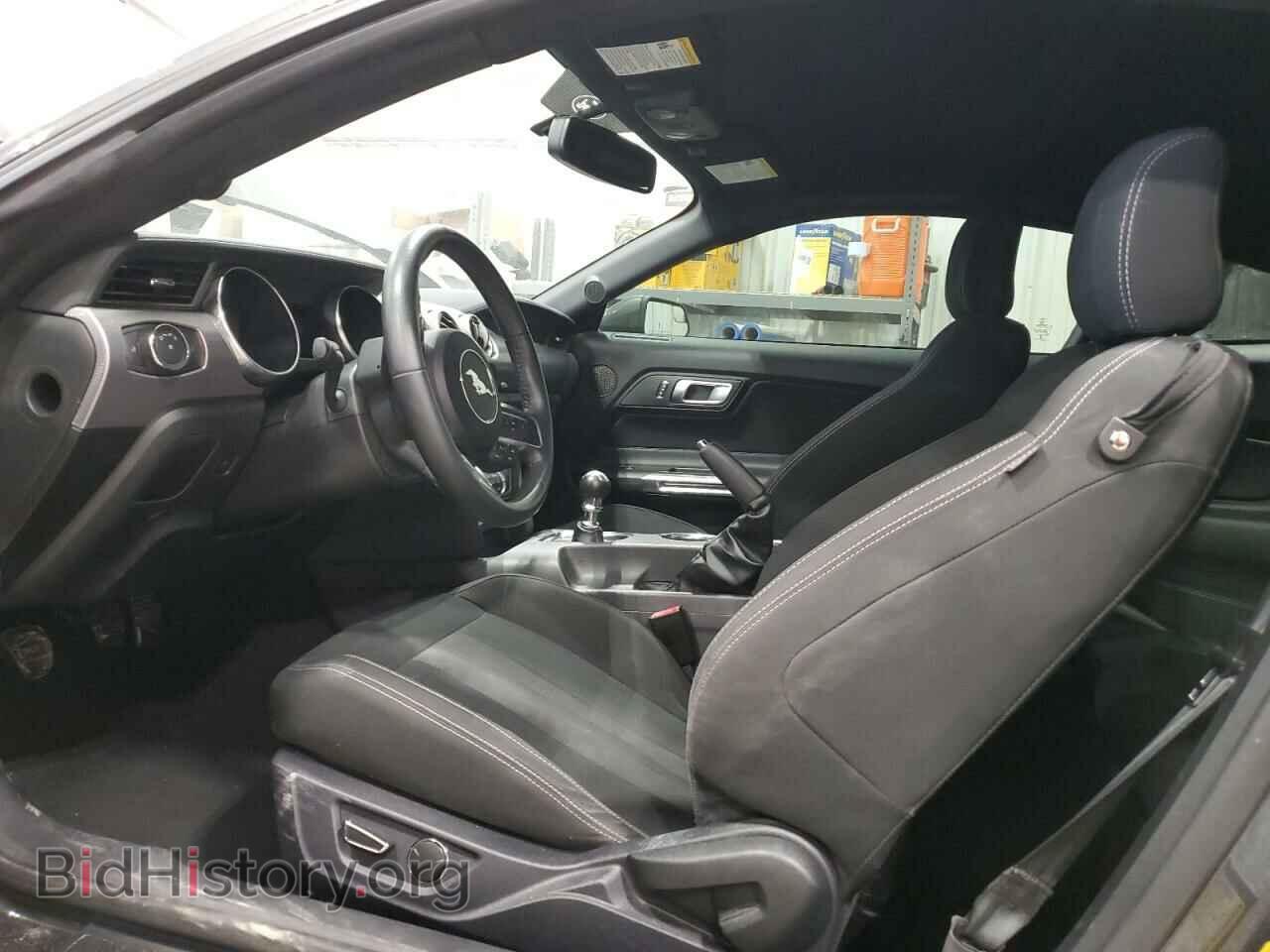 2019 FORD ALL Models - VIN: 1FA6P8TH3K5167664 - Фото 7