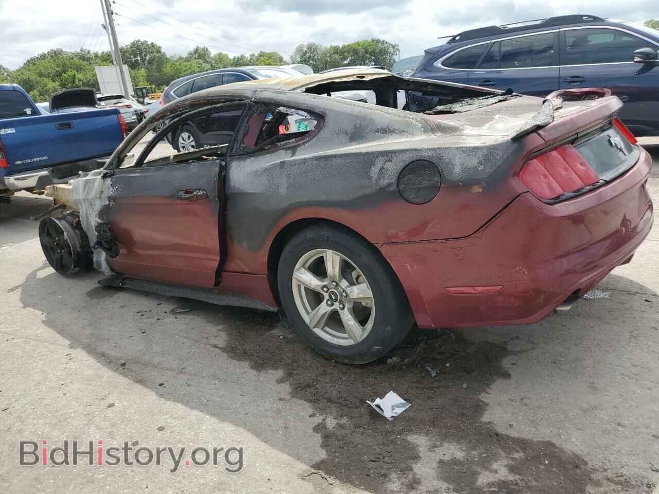 2017 FORD ALL Models - VIN: 1FA6P8AM9H5228251 - Photo 2