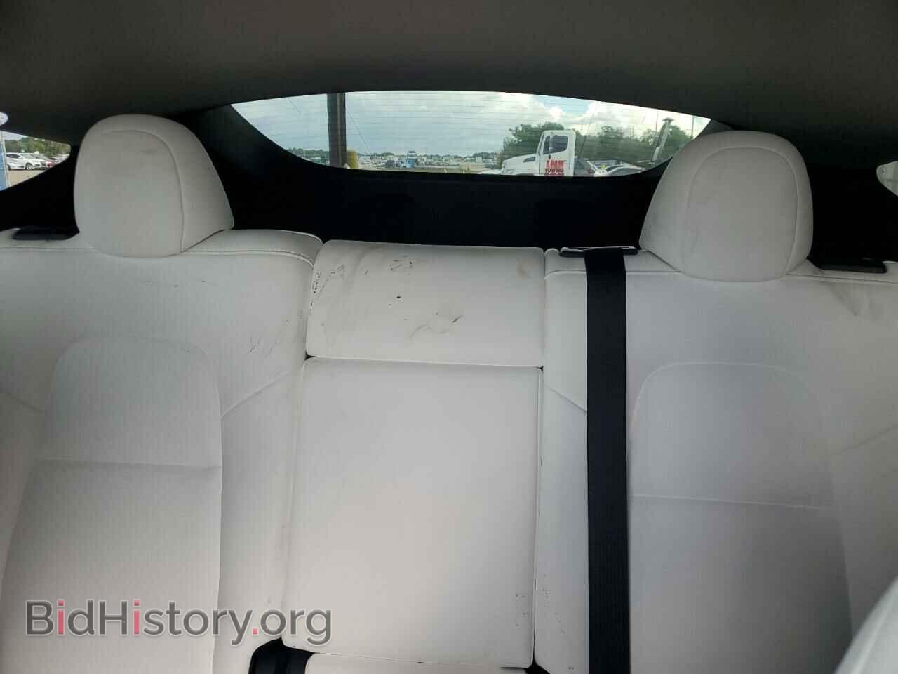 2024 TESLA MODEL Y - VIN: 7SAYGDEE9RA253875 - Фото 10
