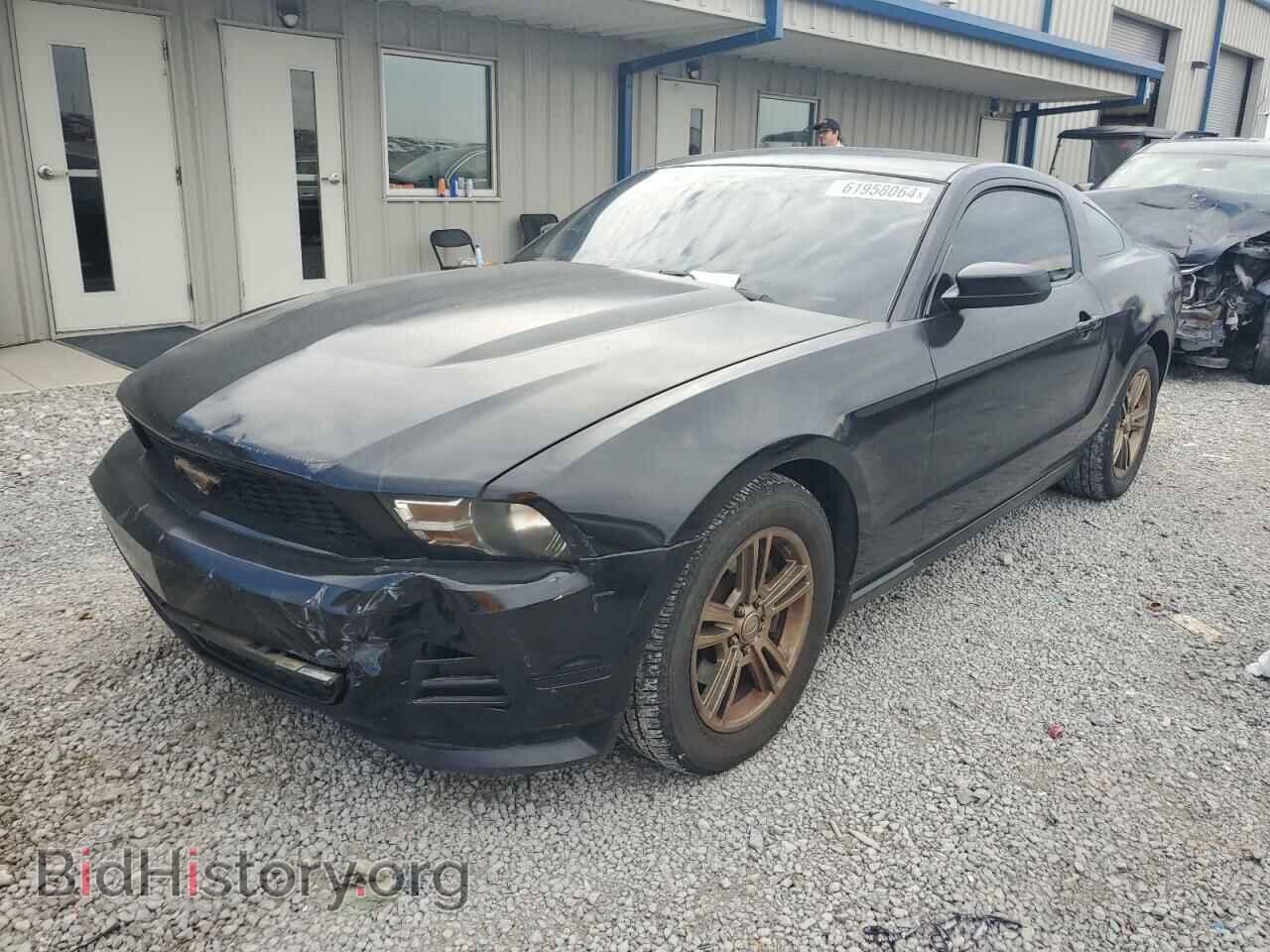 Photo 1ZVBP8AMXB5133355 - FORD ALL Models 2011