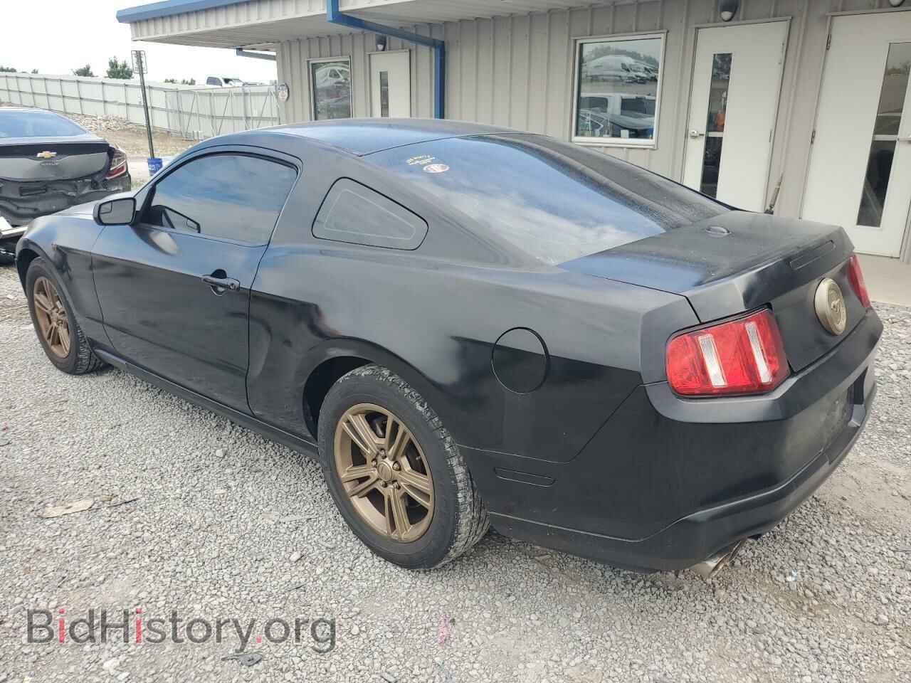 2011 FORD ALL Models - VIN: 1ZVBP8AMXB5133355 - Фото 2