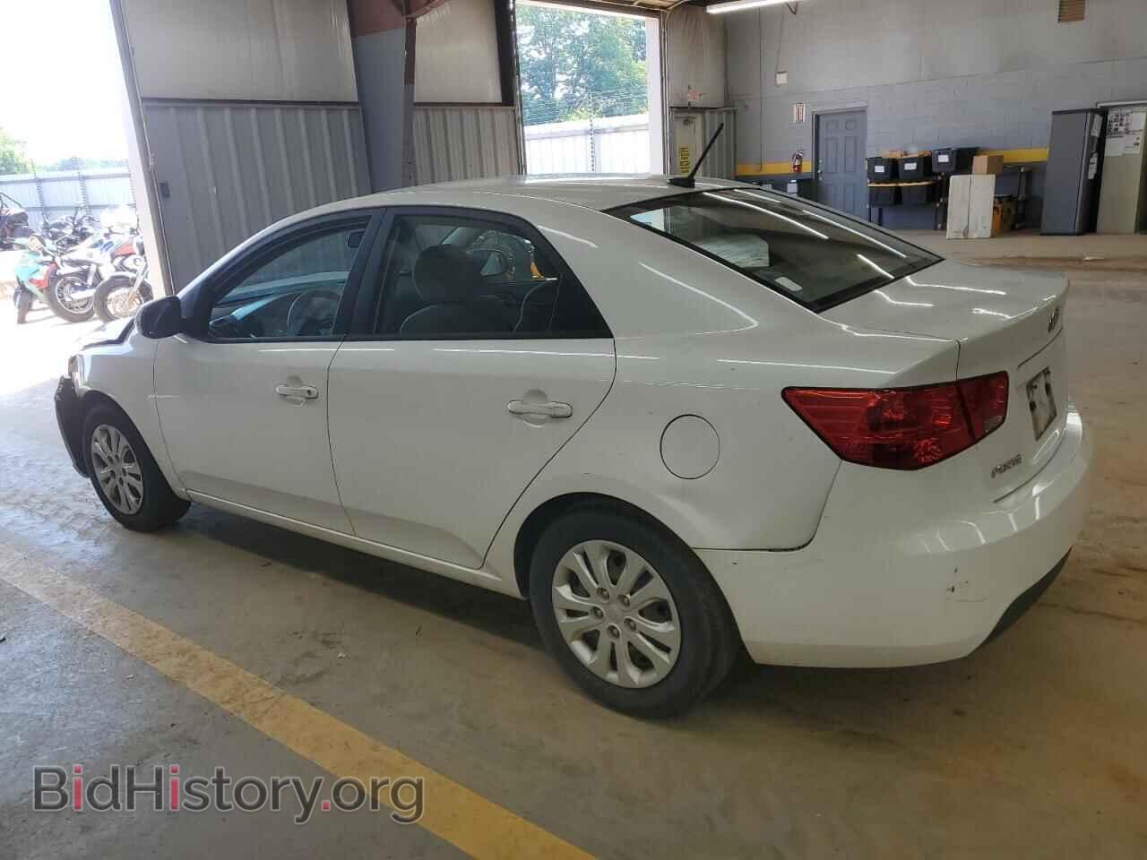 2011 KIA FORTE - VIN: KNAFU4A23B5887148 - Фото 2