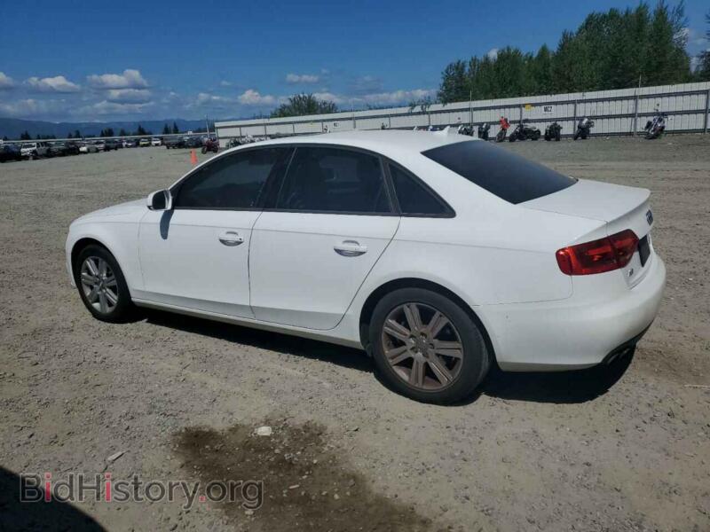 2011 Audi A4 (VIN WAUBFAFL2BN005346) — фото 2 из 12