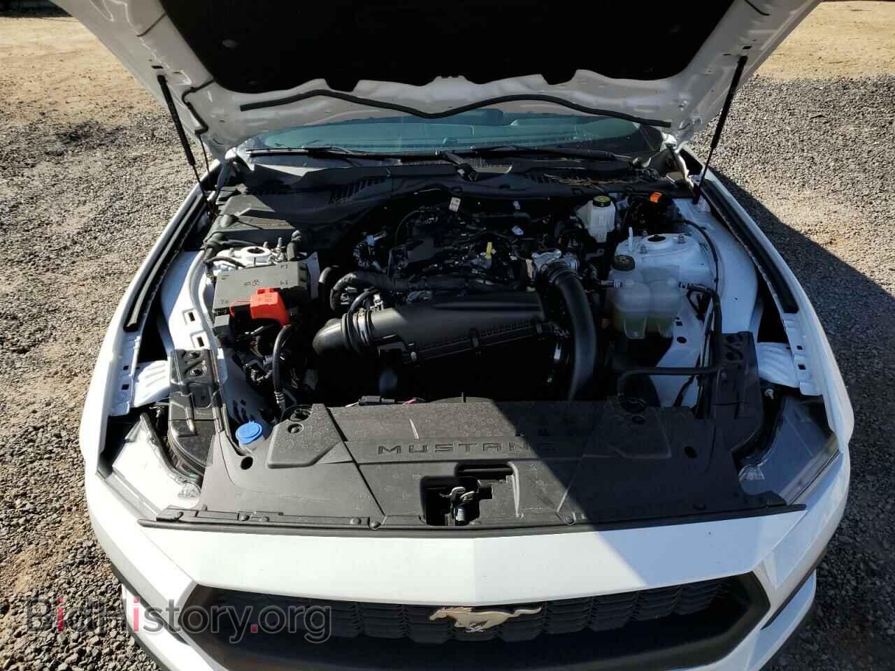 2024 FORD ALL Models - VIN: 1FA6P8TH3R5111282 - Photo 11