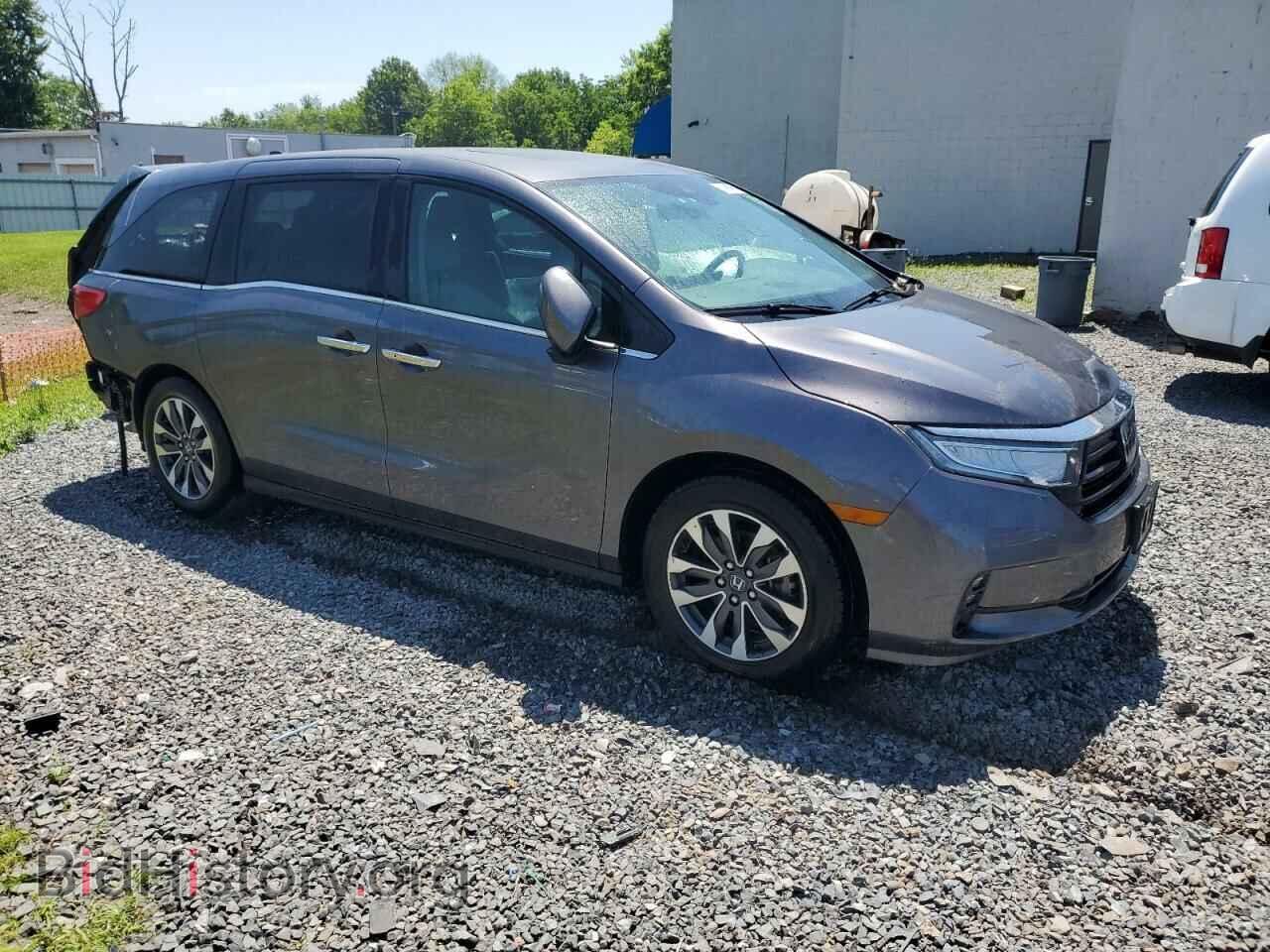 2023 HONDA All Models - VIN: 5FNRL6H67PB012801 - Фото 4