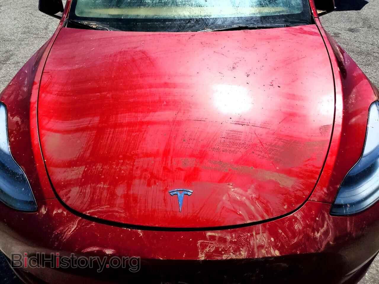 2024 TESLA MODEL Y - VIN: 7SAYGDEE0RF070948 - Photo 12