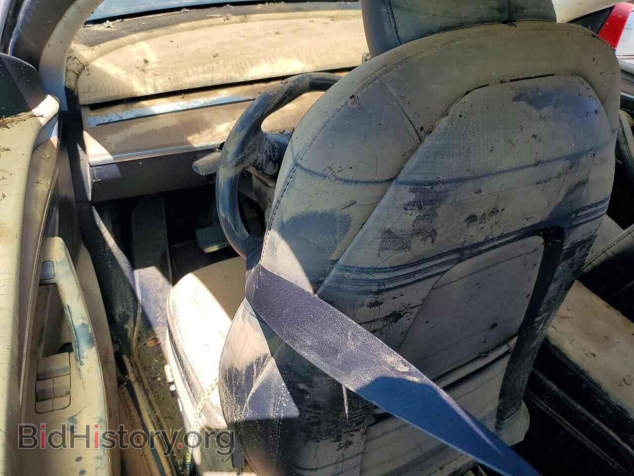 2024 TESLA MODEL Y - VIN: 7SAYGDEE0RF070948 - Photo 8