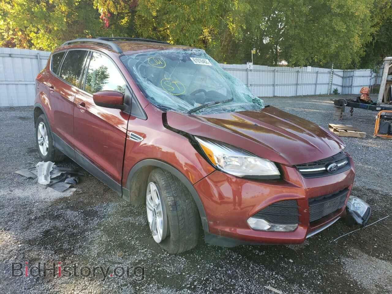 Фотография 1FMCU0GX5EUD20043 - FORD ESCAPE 2014