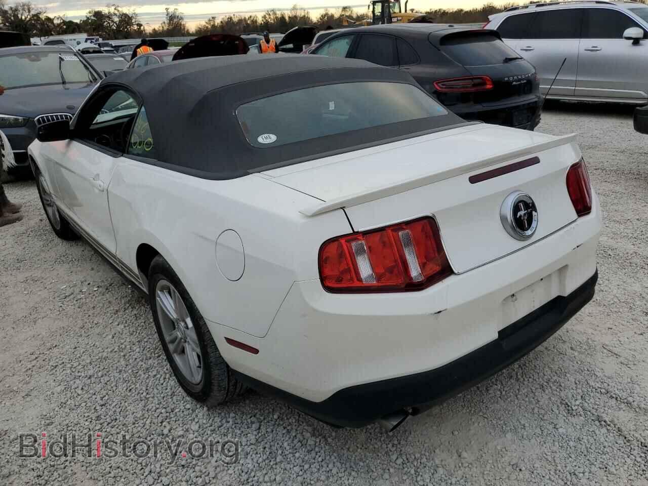 2011 FORD MUSTANG - VIN: 1ZVBP8EM2B5100800 - Фото 3