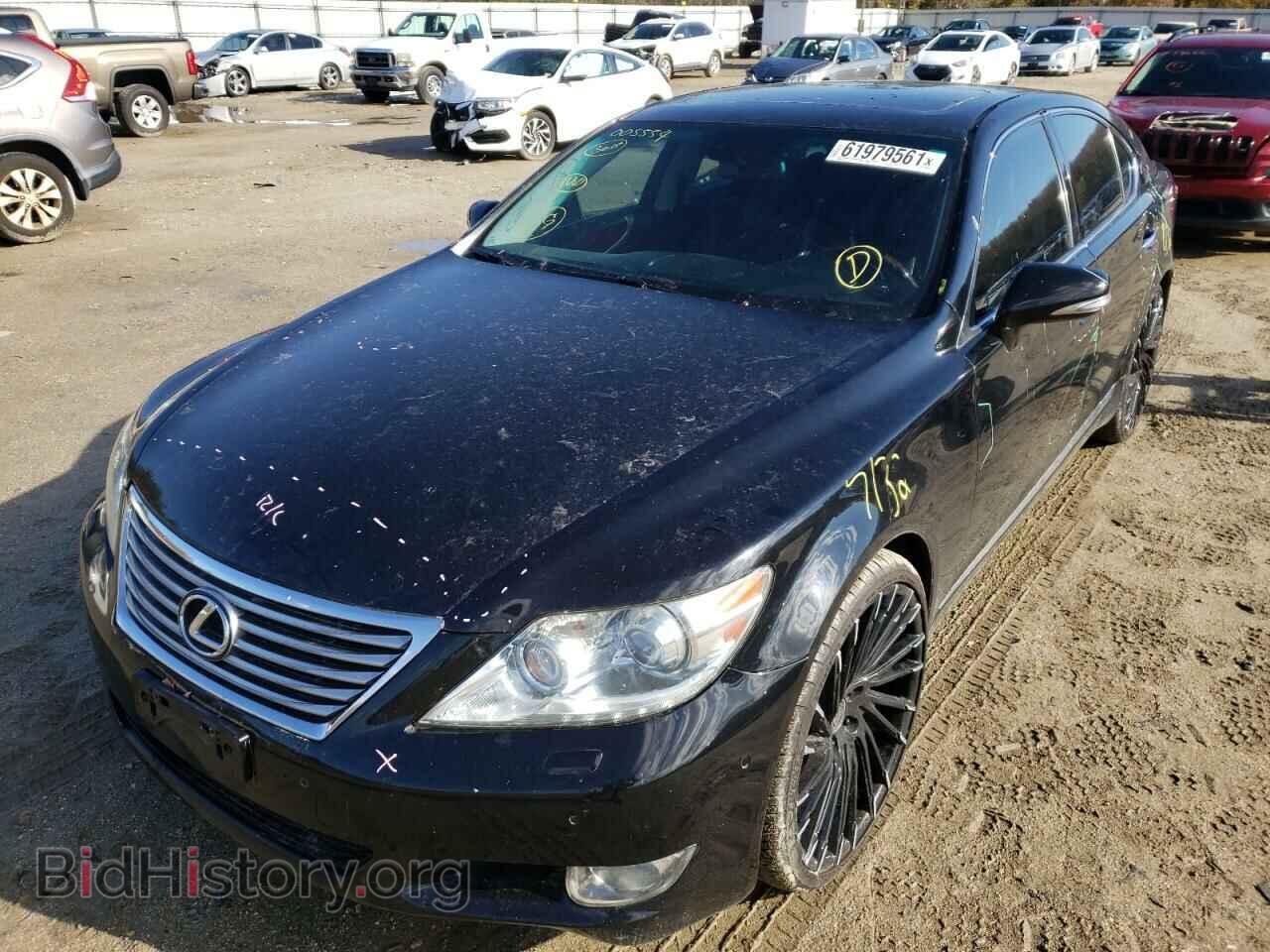 2010 LEXUS LS460 - VIN: JTHCL5EF9A5005554 - Photo 2