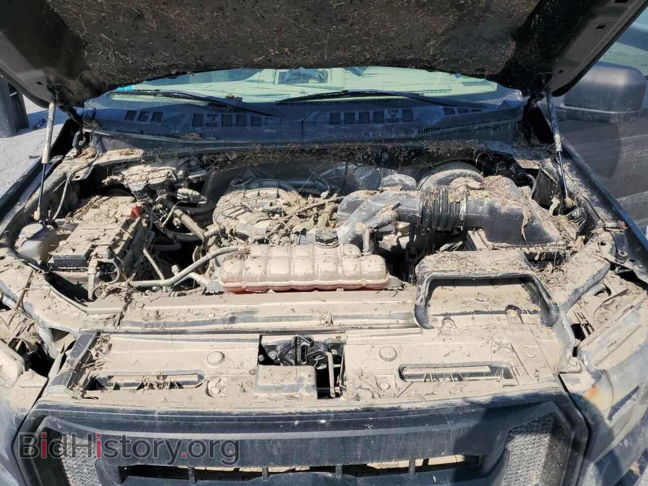 2017 FORD All Models - VIN: 1FTMF1C85HFA31213 - Фото 11