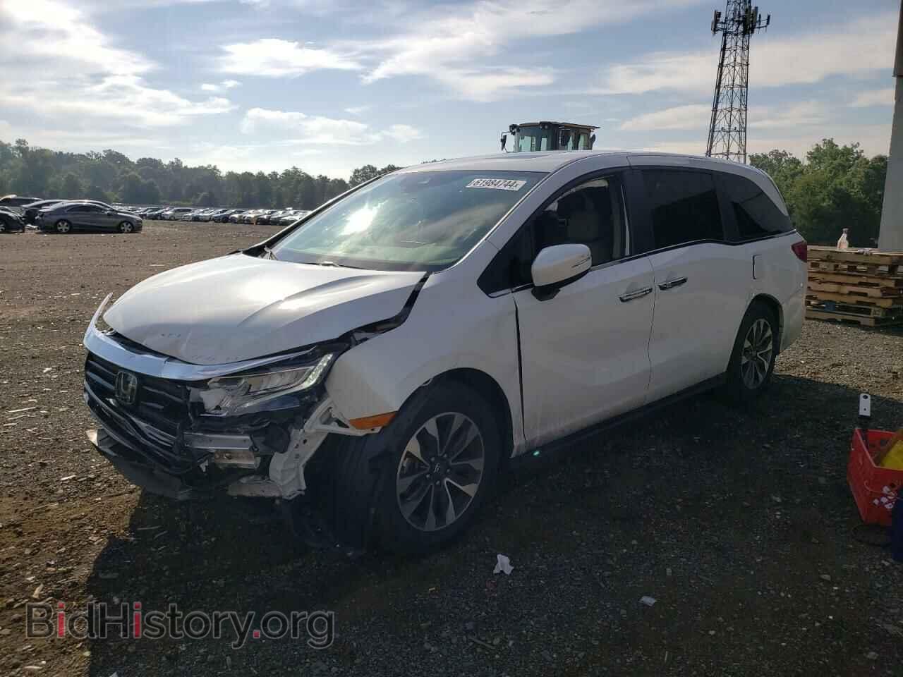 Photo 5FNRL6H77MB035175 - HONDA All Models 2021