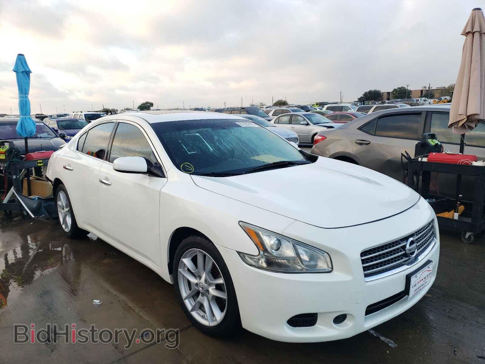 Фотография 1N4AA5AP0BC817034 - NISSAN MAXIMA 2011