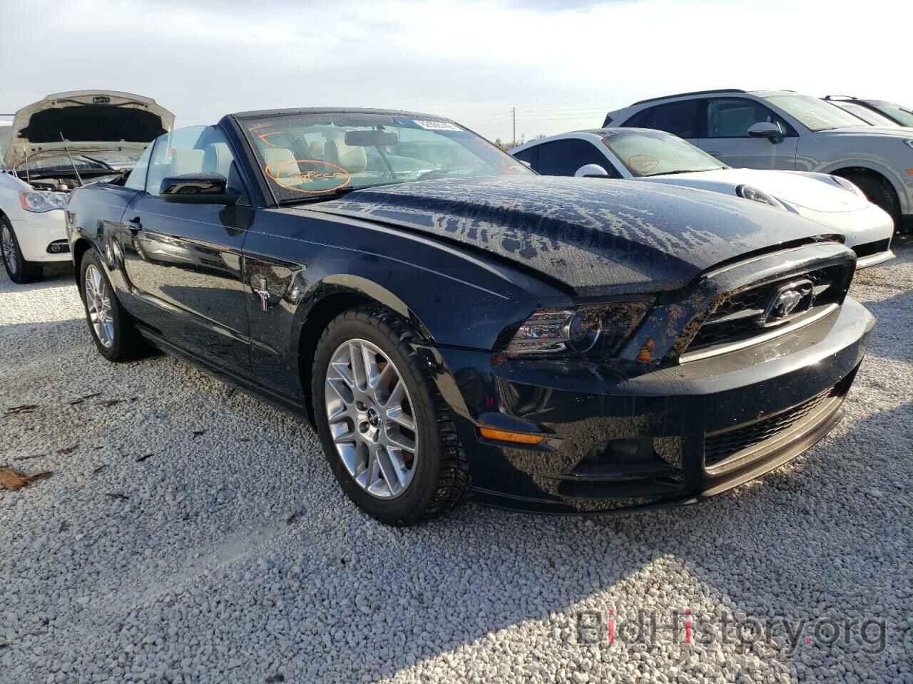 Photo 1ZVBP8EM0D5228410 - FORD MUSTANG 2013