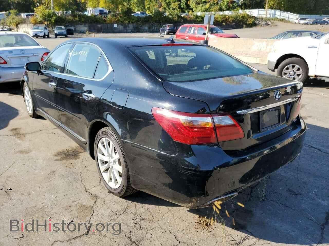 2011 LEXUS LS460 - VIN: JTHDL5EF2B5004025 - Фото 3