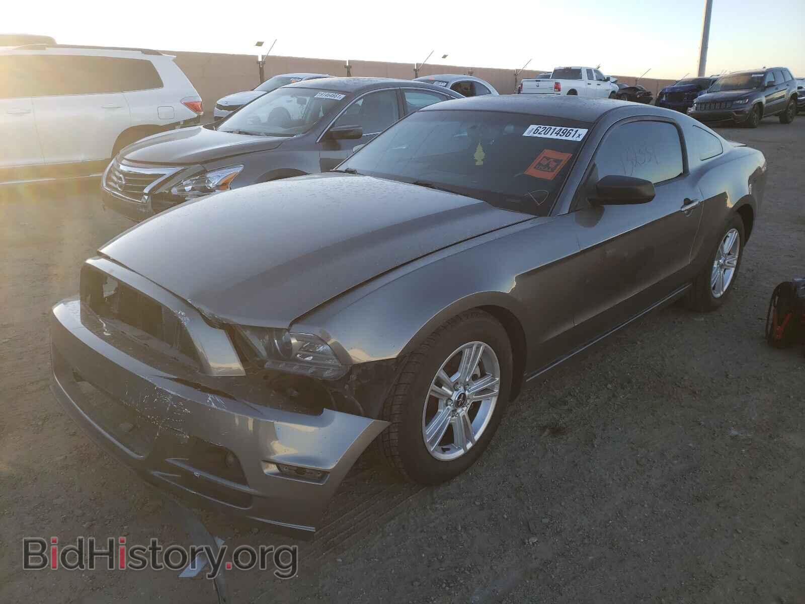 2013 FORD MUSTANG - VIN: 1ZVBP8AM3D5269541 - Фото 2