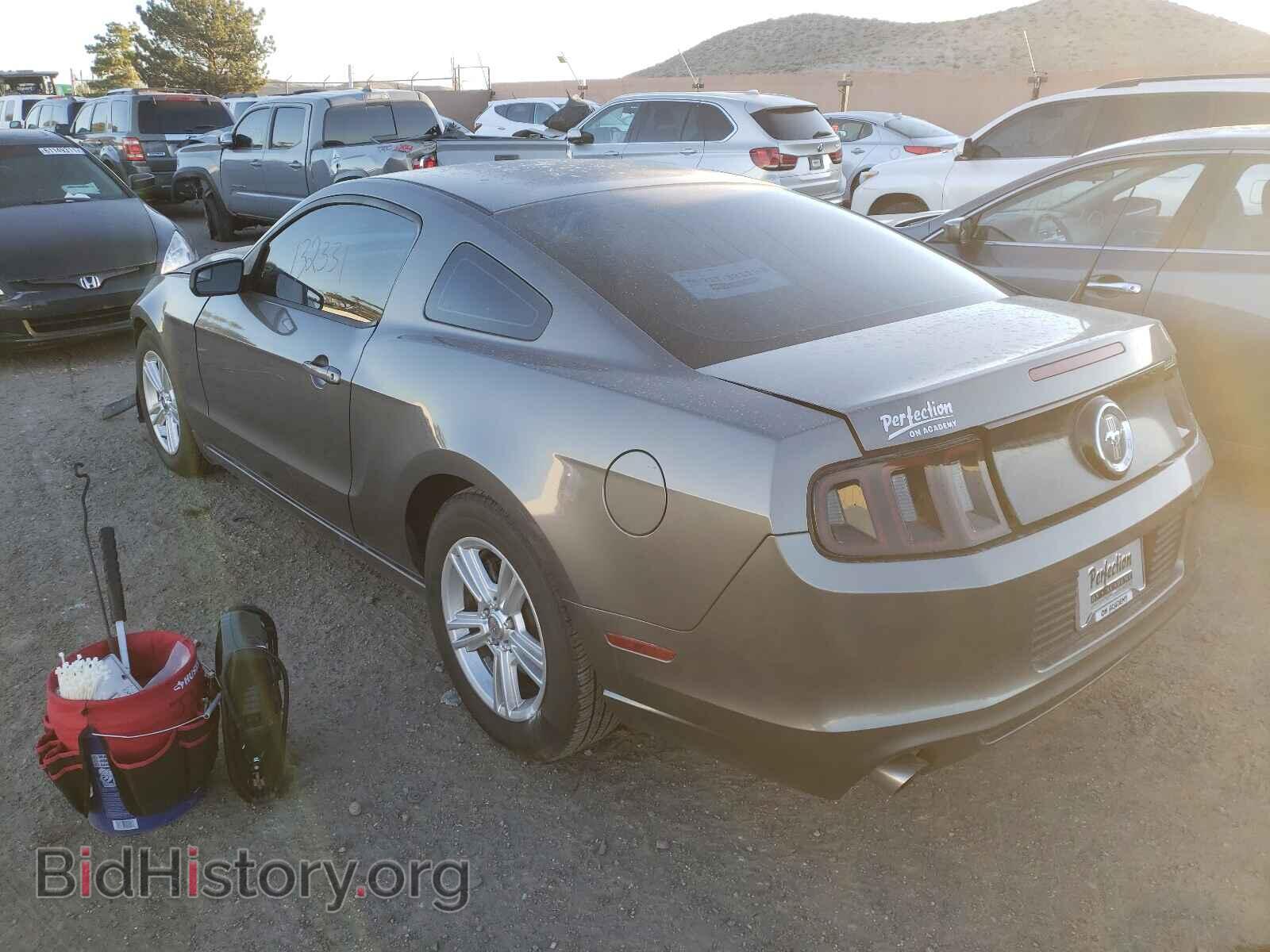 2013 FORD MUSTANG - VIN: 1ZVBP8AM3D5269541 - Фото 3