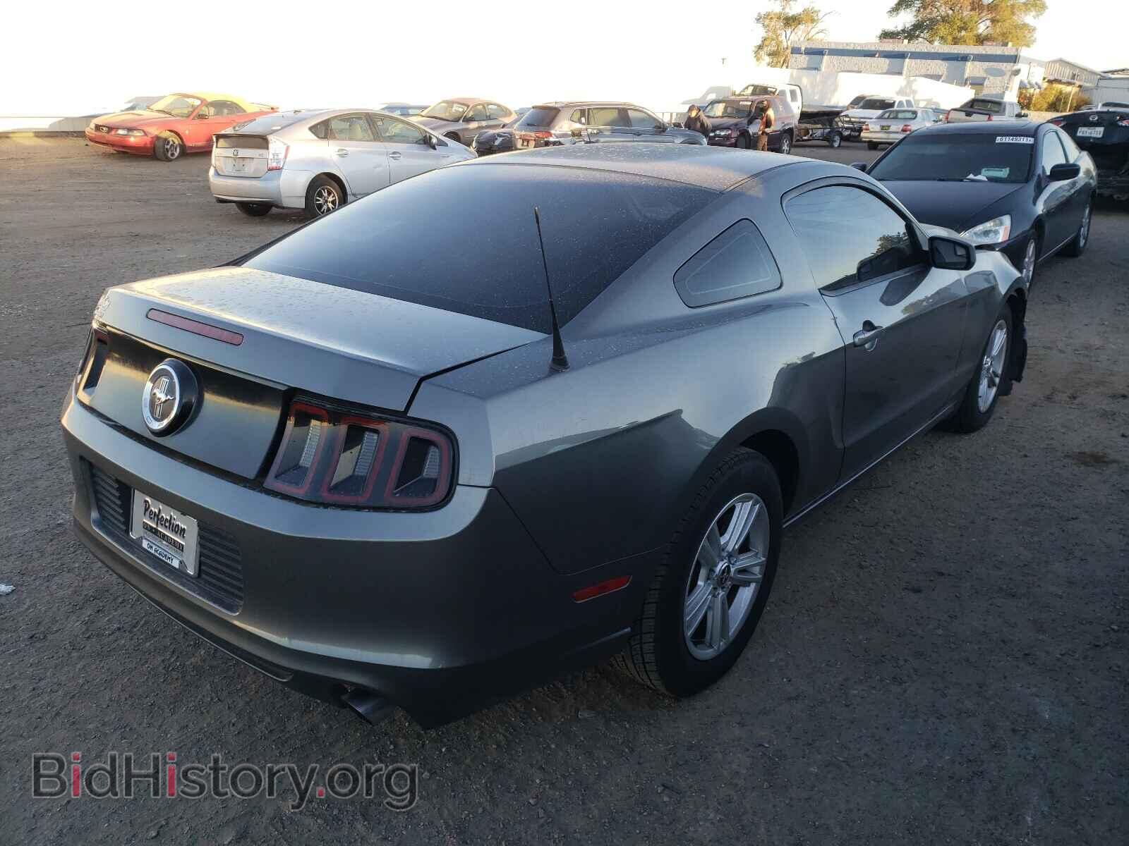 2013 FORD MUSTANG - VIN: 1ZVBP8AM3D5269541 - Фото 4