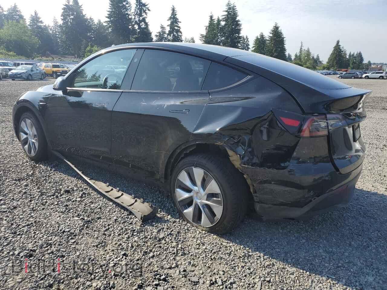 2024 TESLA MODEL Y - VIN: 7SAYGAEE0RF983448 - Photo 2