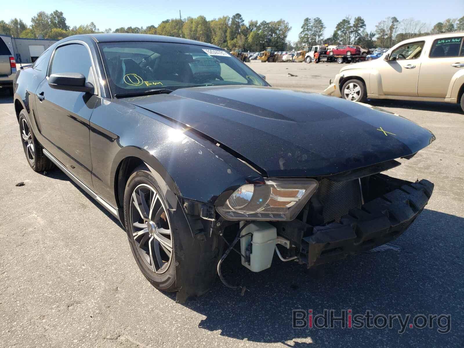 Photo 1ZVBP8AN1A5155901 - FORD MUSTANG 2010