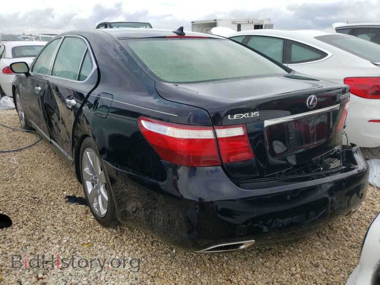 2009 LEXUS LS600 - VIN: JTHDU46FX95010218 - Фото 3