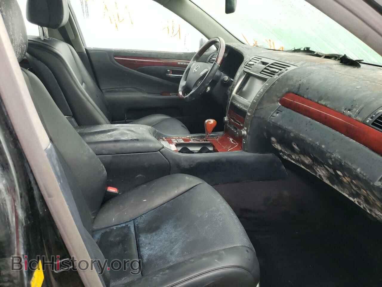 2009 LEXUS LS600 - VIN: JTHDU46FX95010218 - Фото 5