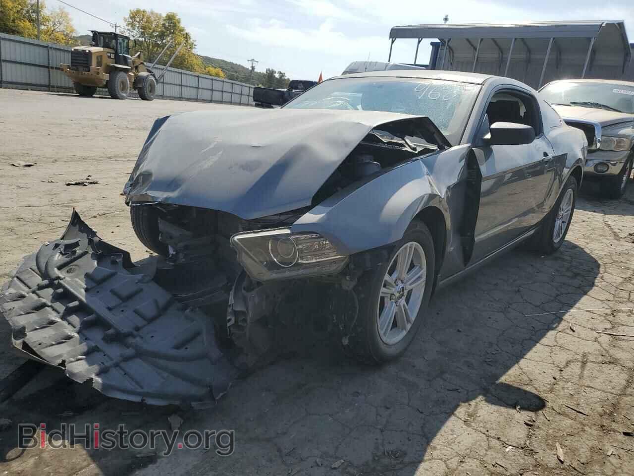 2013 FORD MUSTANG - VIN: 1ZVBP8AM2D5269689 - Фото 2