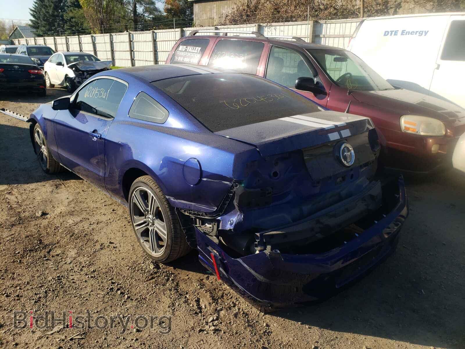 2014 FORD MUSTANG - VIN: 1ZVBP8AM0E5283642 - Фото 3