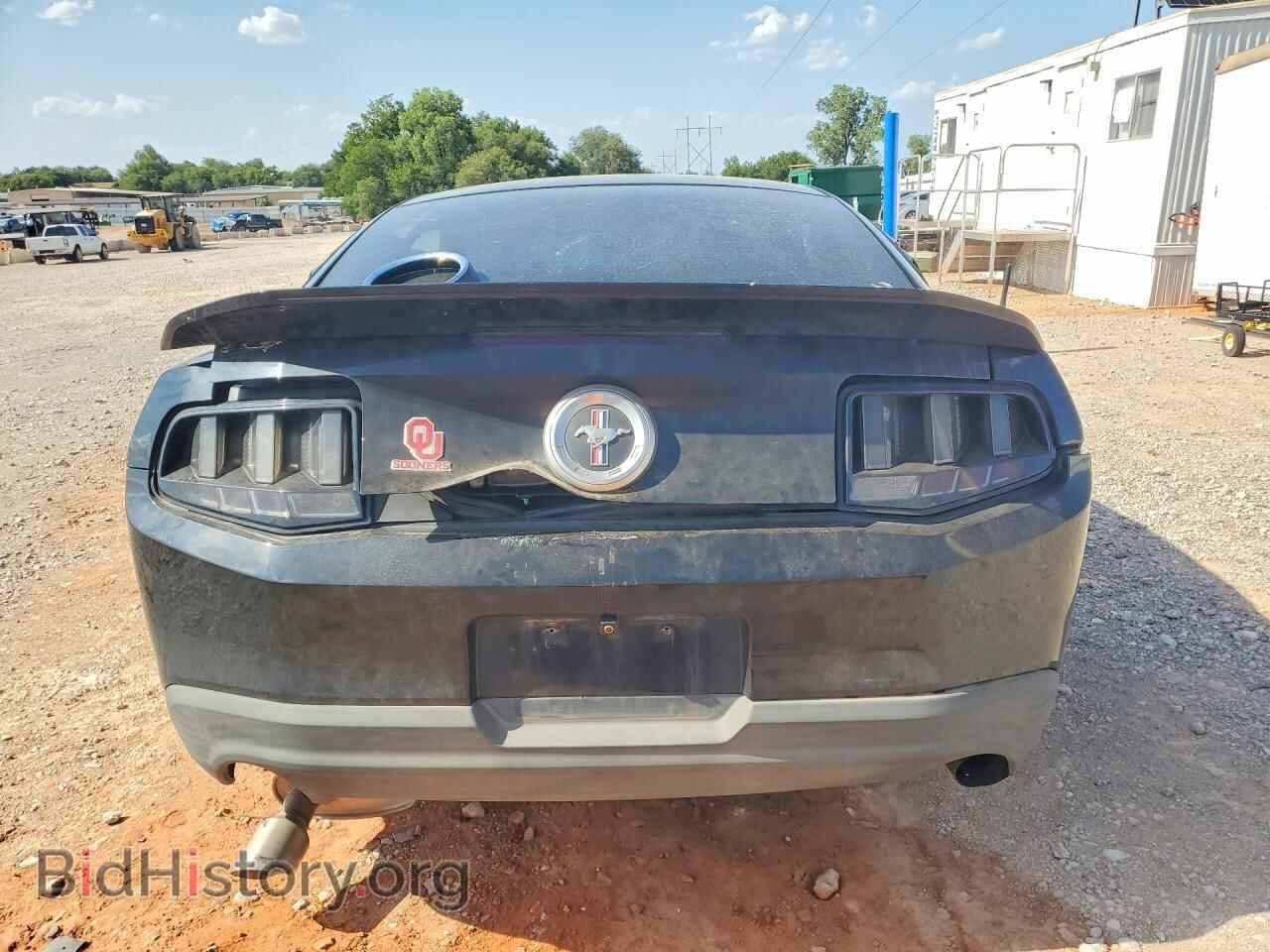 2011 FORD MUSTANG - VIN: 1ZVBP8AM5B5103132 - Фото 6