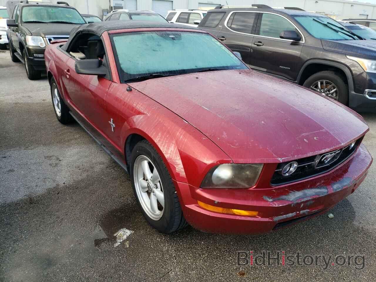 Photo 1ZVHT84N075206640 - FORD MUSTANG 2007