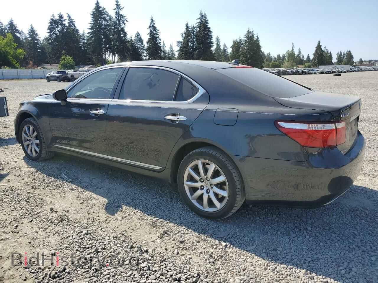 2009 LEXUS LS460 - VIN: JTHDL46F495000884 - Photo 2