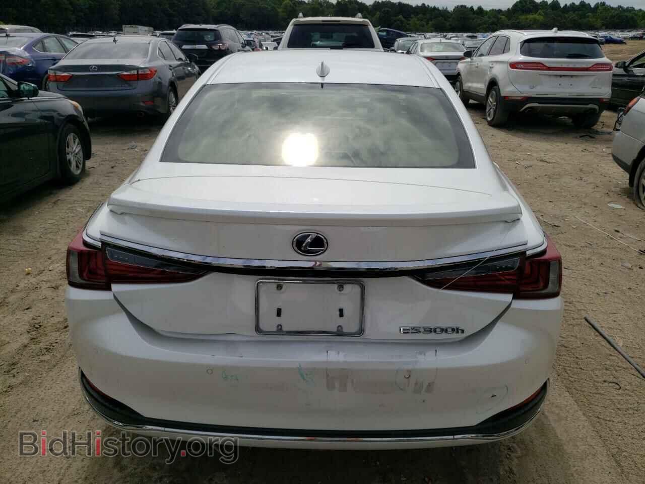 2019 LEXUS ES300 - VIN: JTHB21B18K2029105 - Фото 6