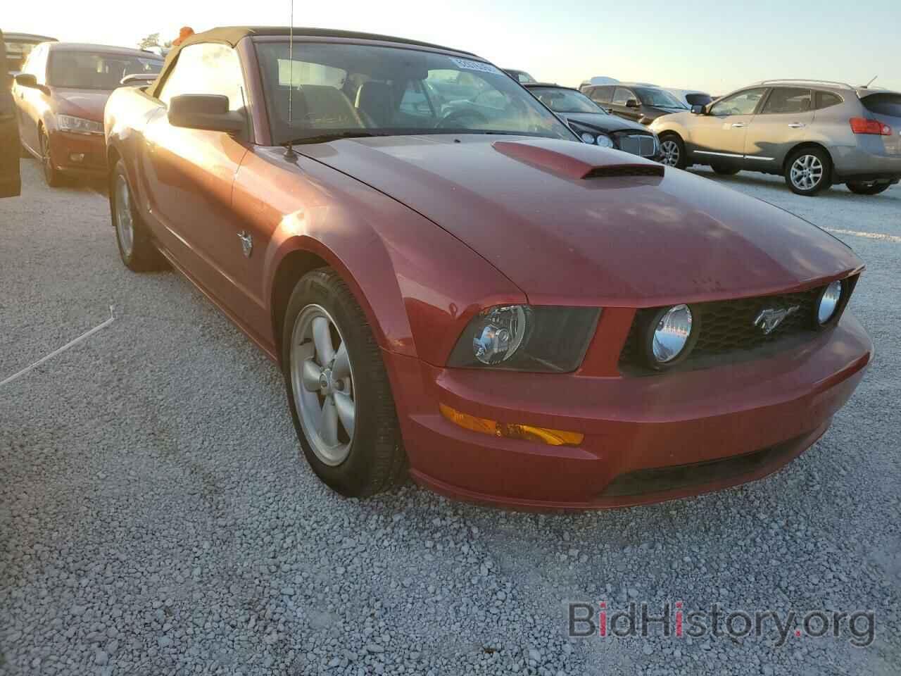 Photo 1ZVHT85H095120546 - FORD MUSTANG 2009