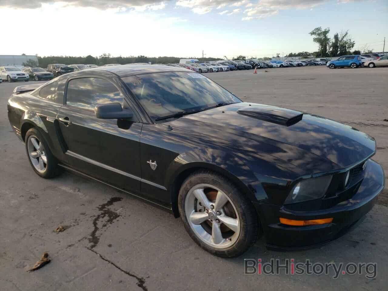 Photo 1ZVHT82H795141950 - FORD MUSTANG 2009