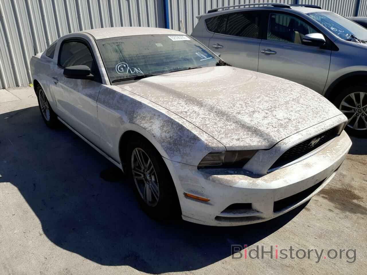 Photo 1ZVBP8AM9E5258321 - FORD MUSTANG 2014